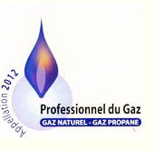 Professionnel gaz Ecully